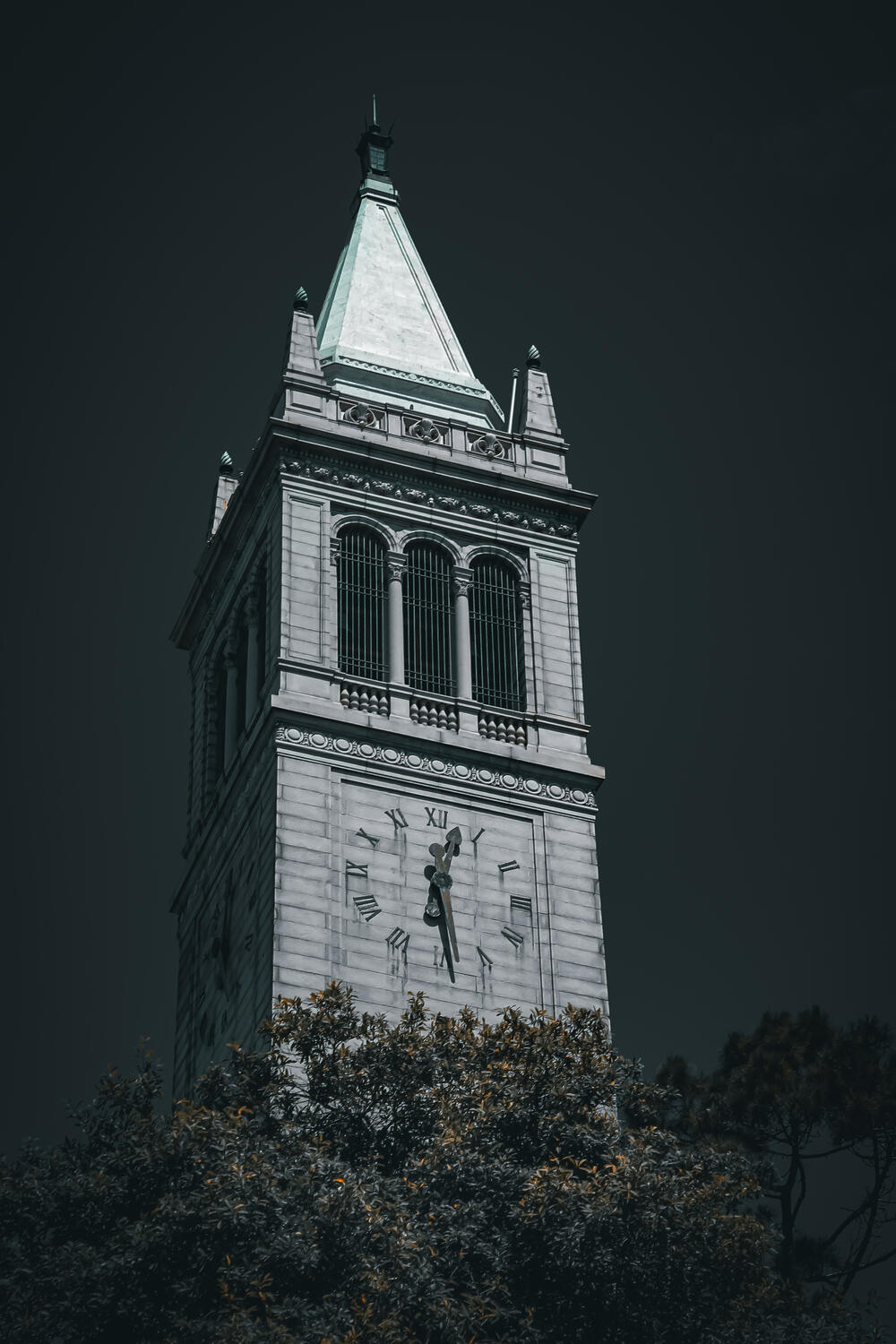 Dark Campanile Dark Campanile