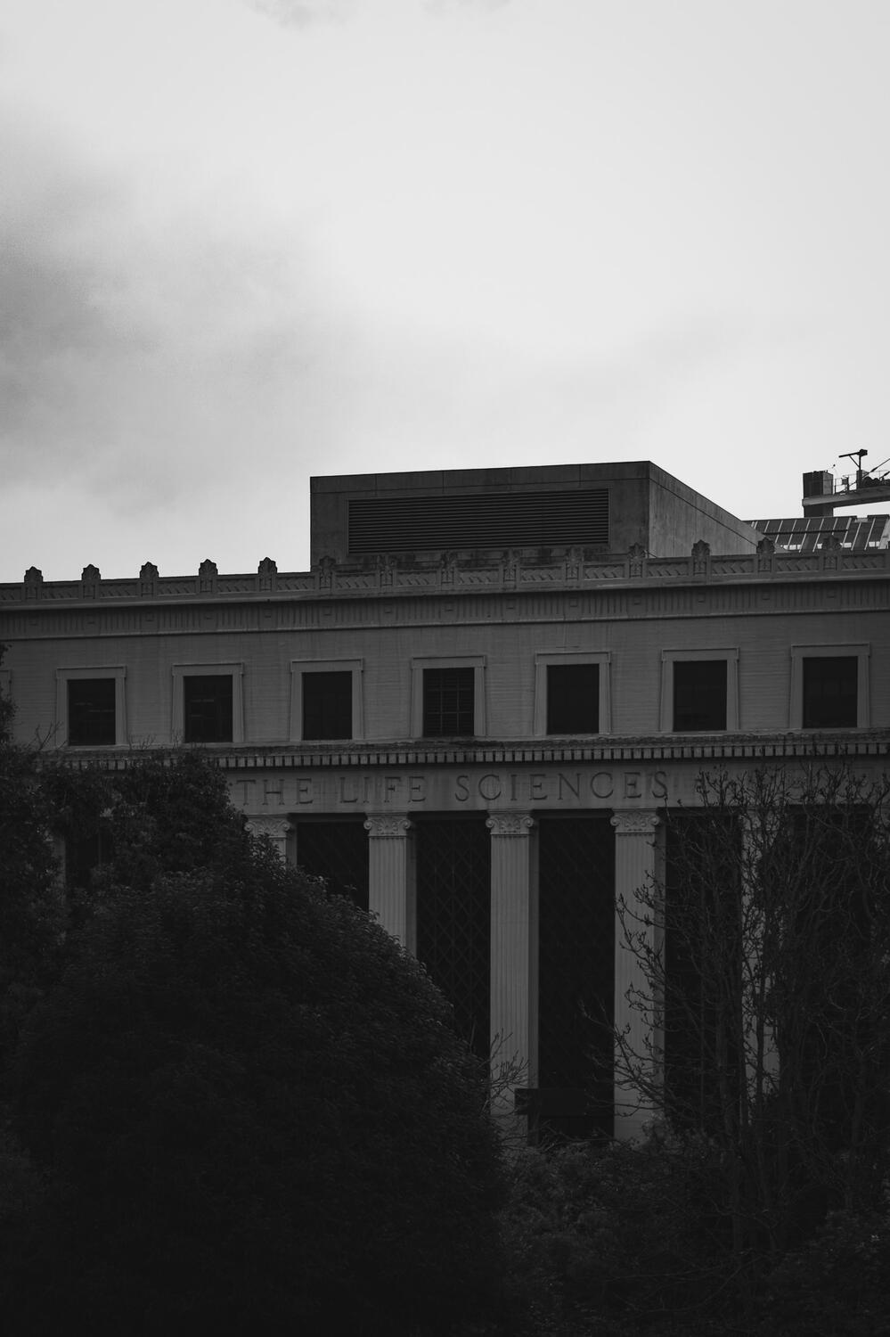 Untitled Untitled